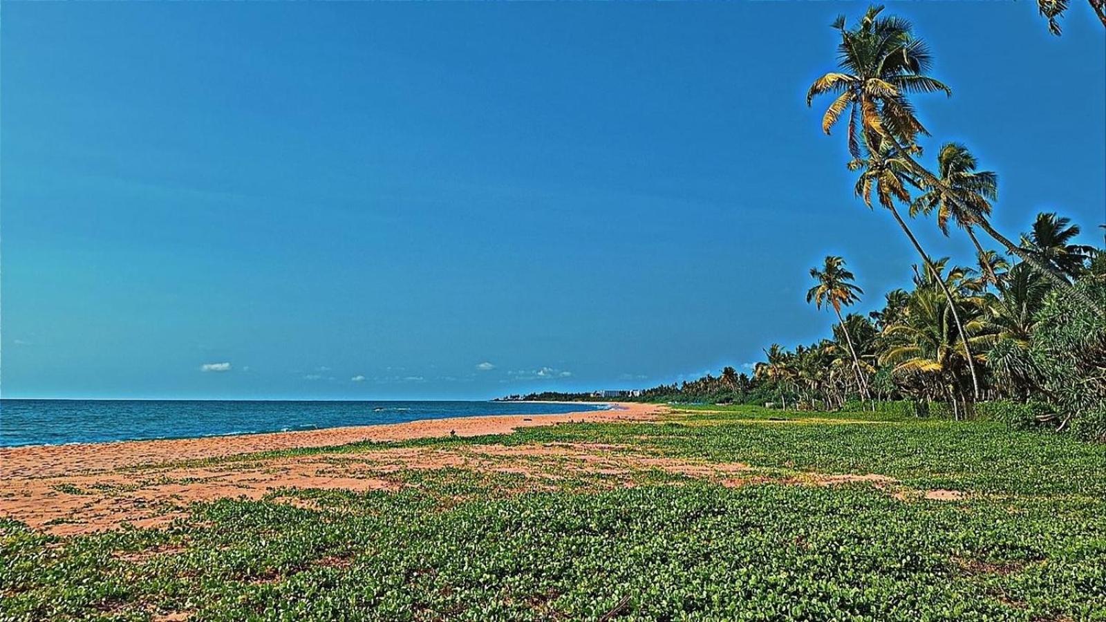 Raja Beach Hotel Balapitiya Eksteriør billede