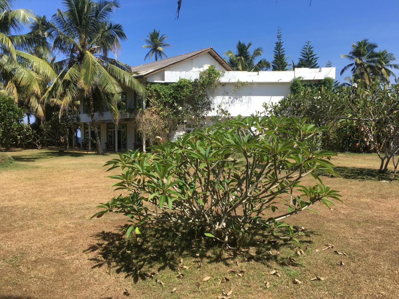 Raja Beach Hotel Balapitiya Eksteriør billede