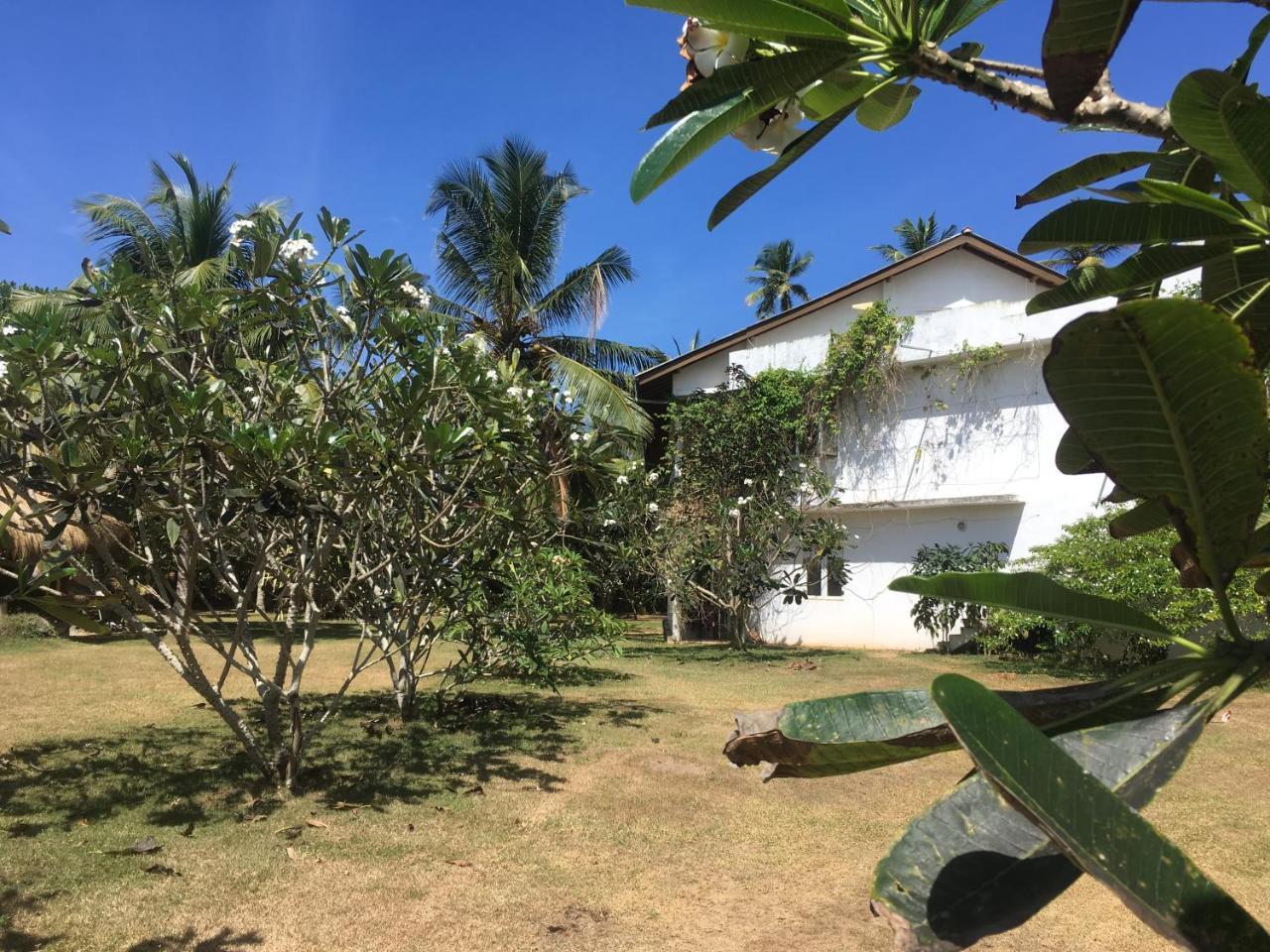 Raja Beach Hotel Balapitiya Eksteriør billede