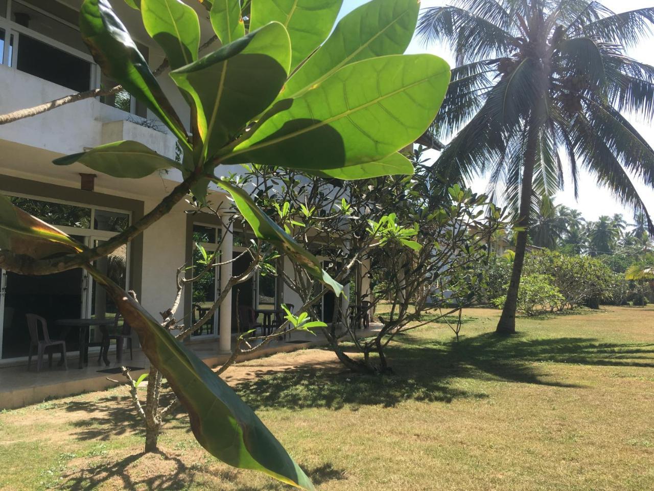 Raja Beach Hotel Balapitiya Eksteriør billede